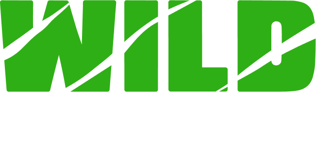 WildCasino